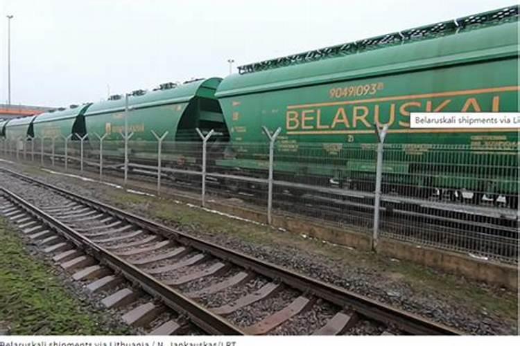 立陶宛政坛“请辞大戏”反转,甘愿自家企业被美国“砸碗”