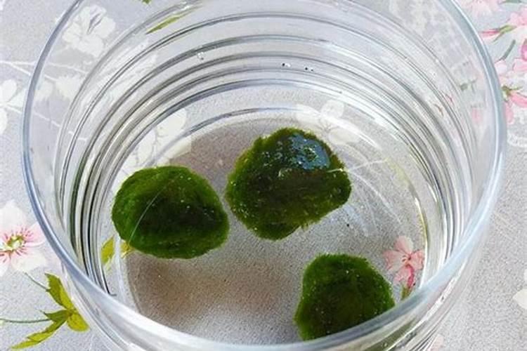 稀硝酸化学性质