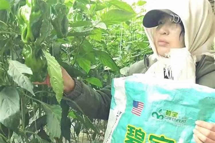 水溶肥最好的三个牌子