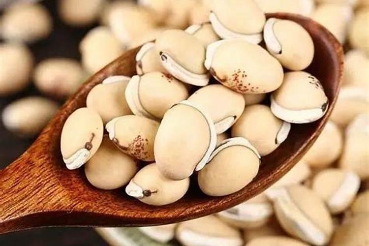 这是什么植物？是咖啡豆吗？