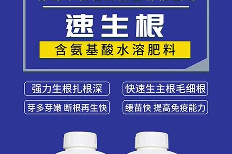 钙肥伤植物的根吗？