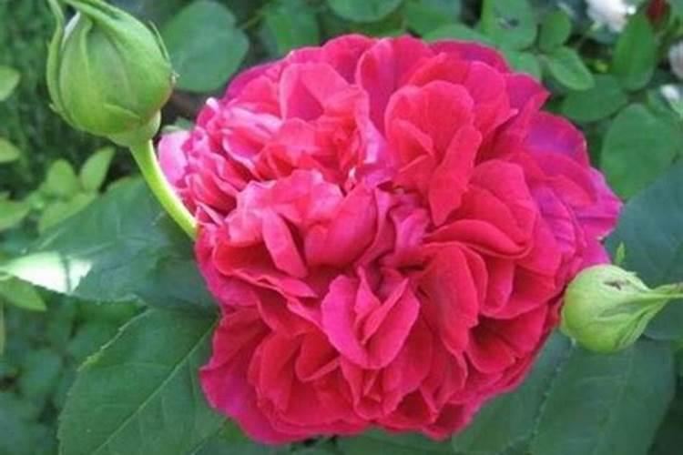 日用百货包括哪些商品日化用品