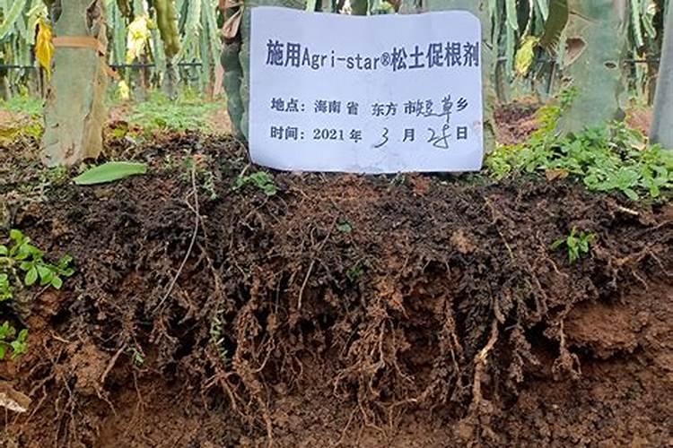 如何培肥耕地地力