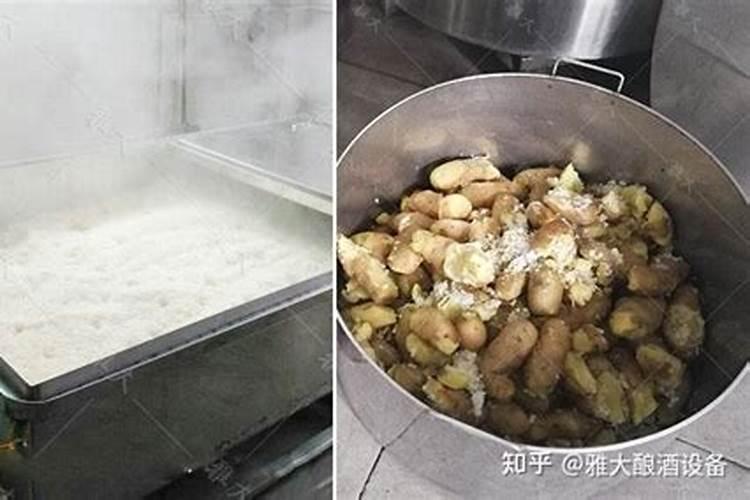 土豆烂根用什么肥最好