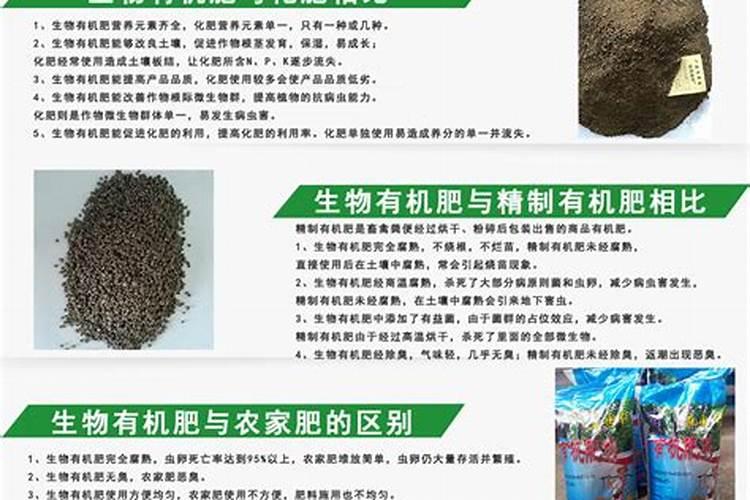 鹤望兰适合用什么肥料