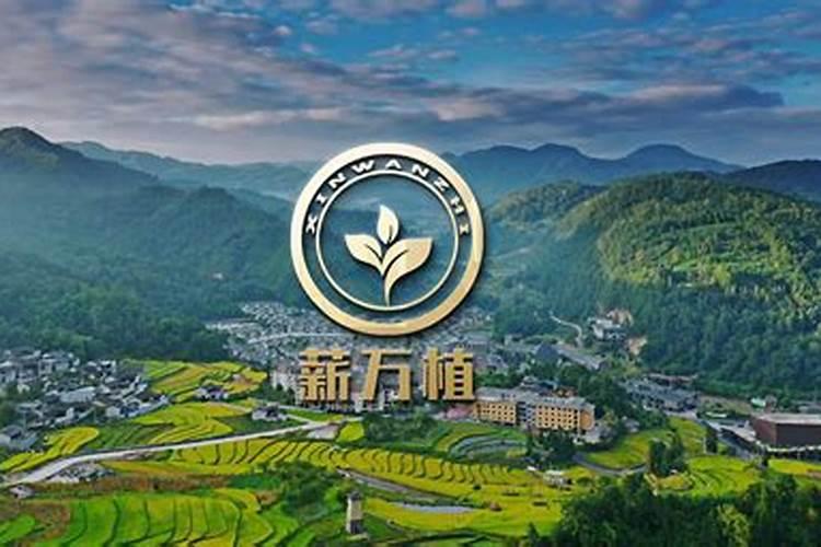 化肥概念股有哪些？化肥概念股龙头一览表