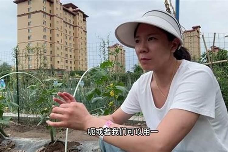 怎样提高磷肥的施用效果,提高水稻磷肥施用效果的方法