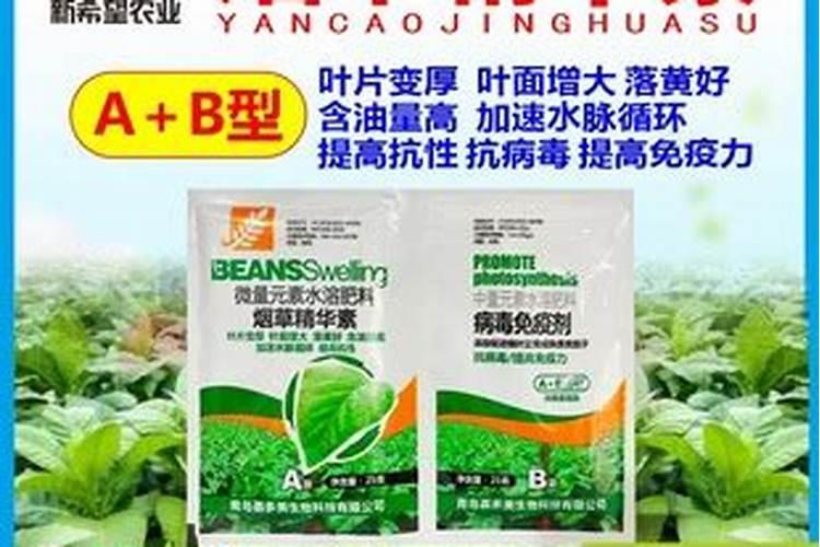烤烟一次冲施多少肥料？烤烟用叶面肥比较好？烤烟喷施昆仑风