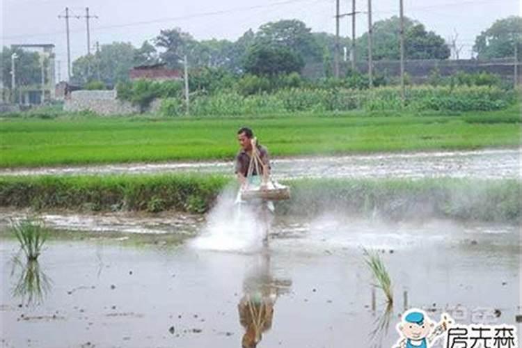怎样区分氮肥和磷肥和钾肥