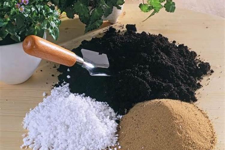 有机肥放盆底还是拌土好