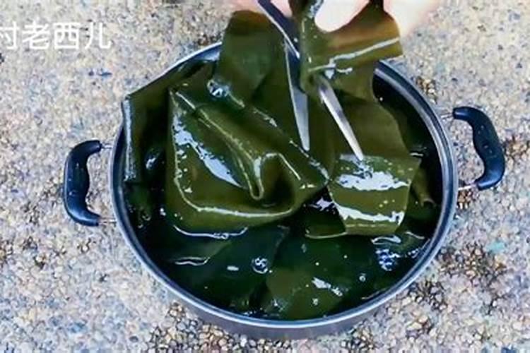 海带可从当农作物肥料吗