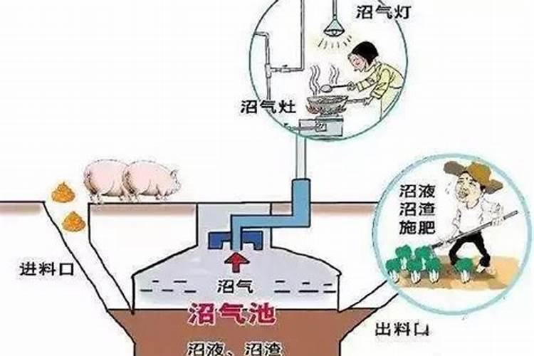 沼气液怎么利用