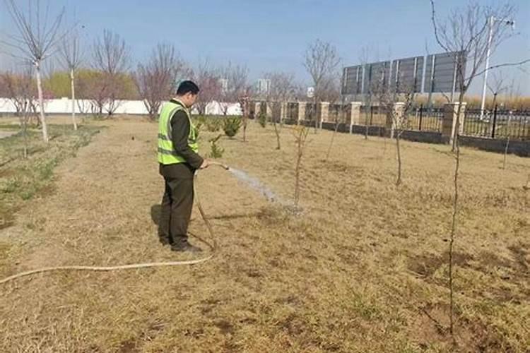 水溶肥需要浇透吗