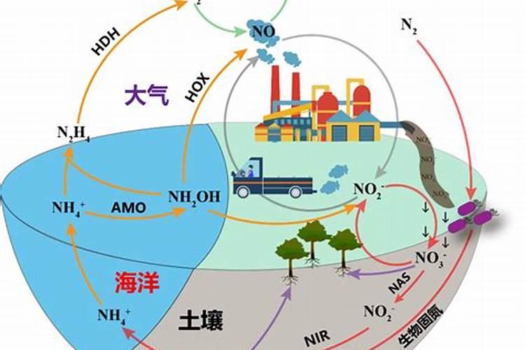 铵态氮和氨氮有什么区别？
