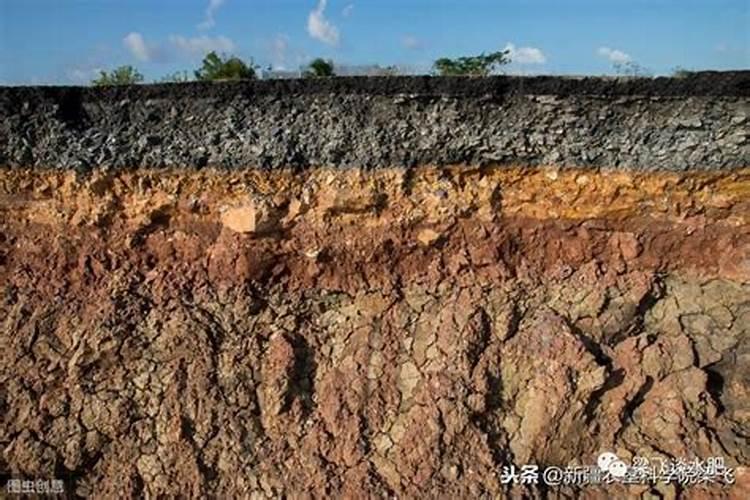 有什么不影响土质的健康化肥推荐一下吗？