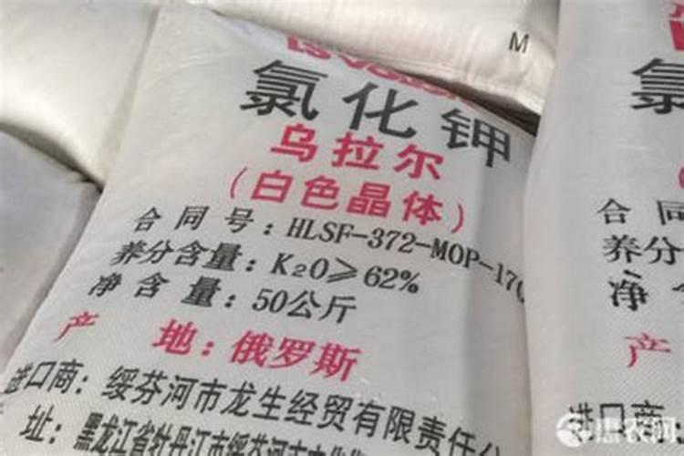 国际钾肥行情报价最新