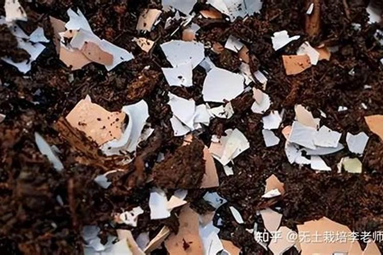 鸡蛋壳怎么做肥料可以在桃树园施用吗？