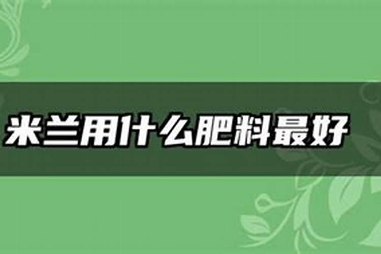 米兰什么时候施肥 米兰什么时间施肥好