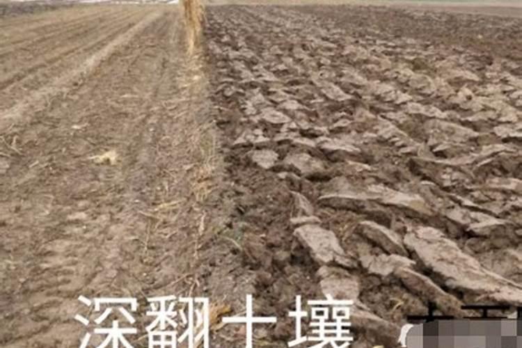 骨粉钙肥的施用方法请回答