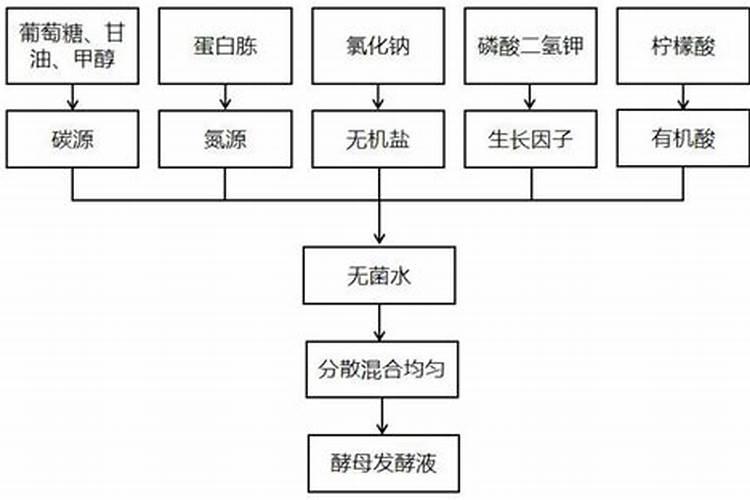 种植蘑菇都需要什么材料