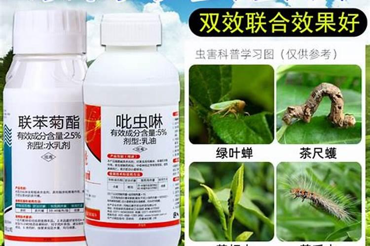 喷施宝加大茶叶专用肥研发规模