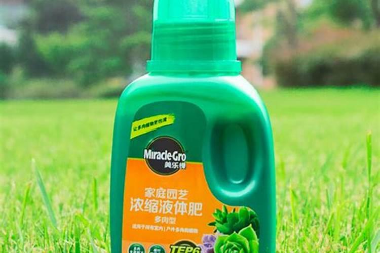 氮磷钾肥适合什么花