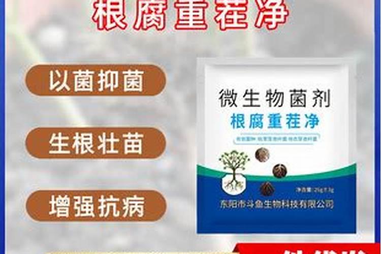 什么土壤杀菌剂处理比较好？