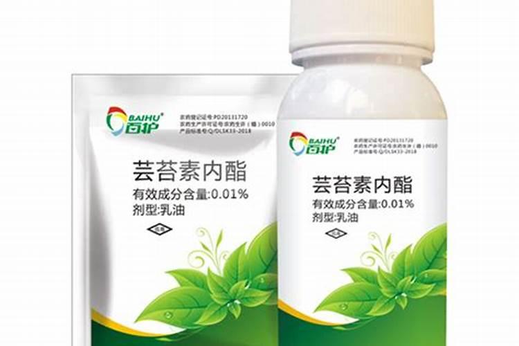 小麦拌种加芸苔素内酯多少合适