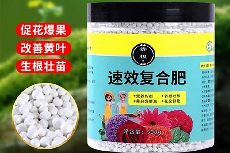 速效复合肥适用哪些花
