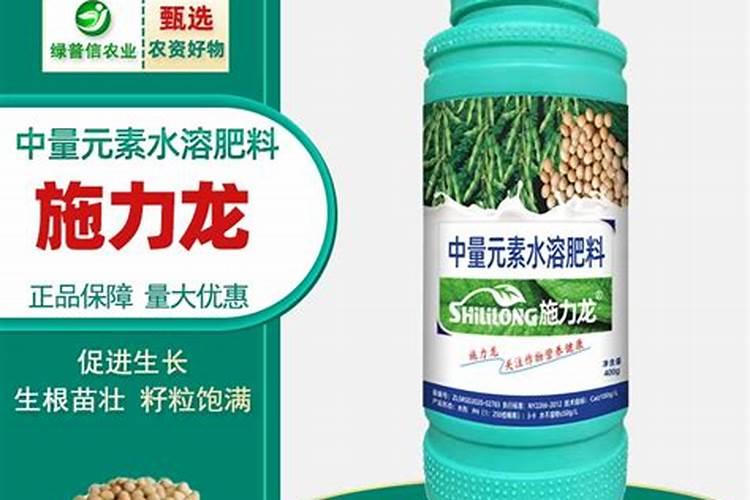 红掌用什么肥料最好