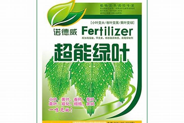 谁知道哪里有郁金香详细的介绍或者书也行,要具体的品种和每个品种的形...