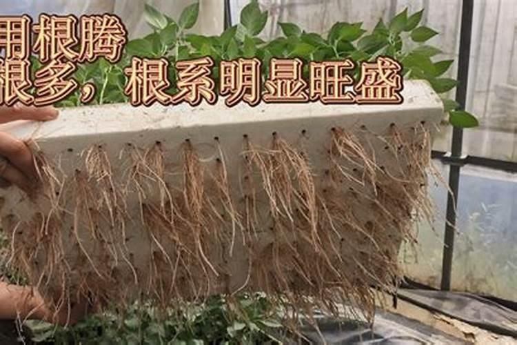 台湾品牌的加工中心,哪家最好