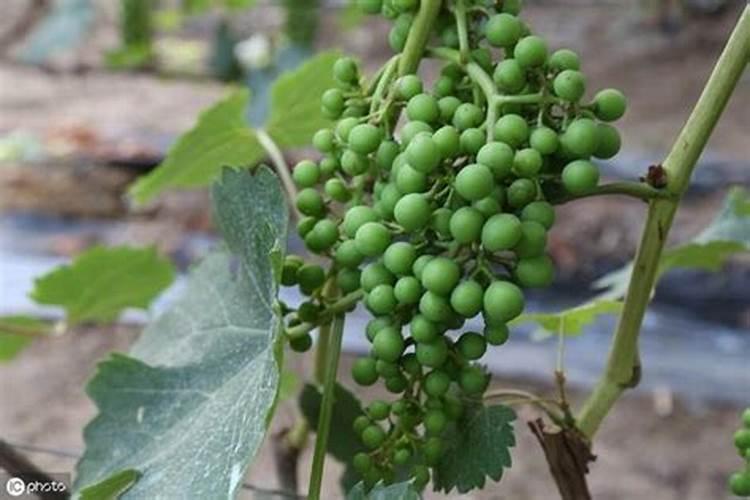 江苏热电厂有哪些