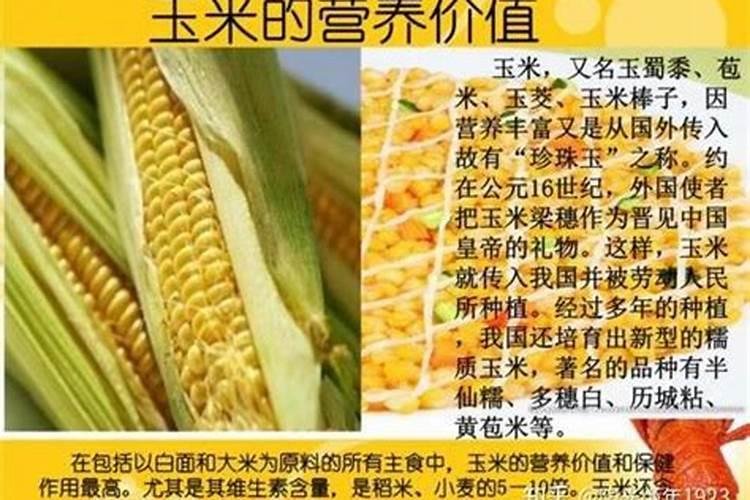 钾肥对玉米能起到什么作用