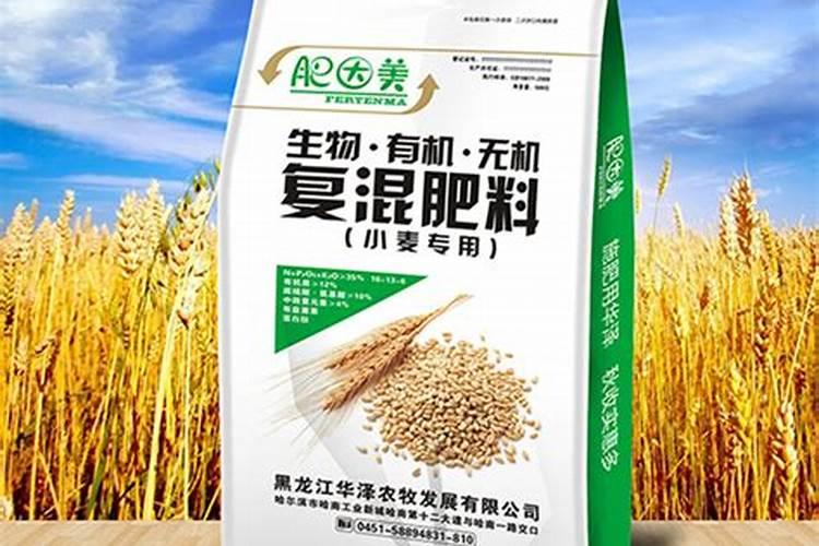 桔子施肥施什么肥最好