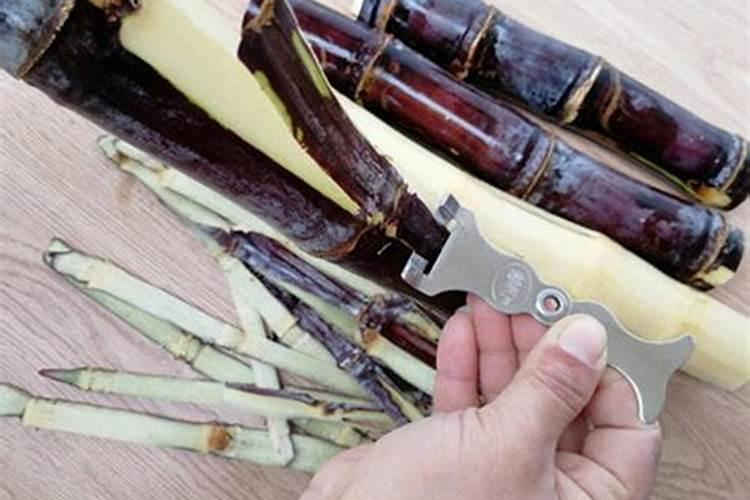 甘蔗皮可以做肥料吗