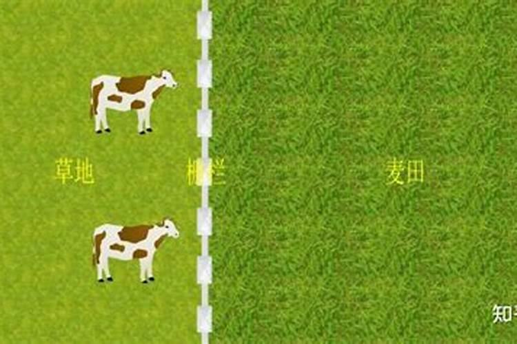 玉米播种,肥料在种子上面好,还是下面好？