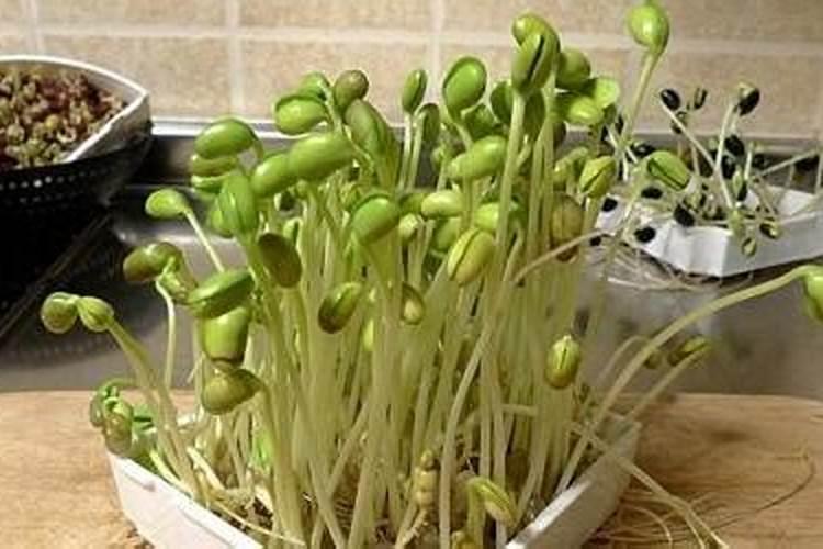 呕有机肥是不是时间越长越好？比如用黄豆,让它发酵3年以上。。。百度知...