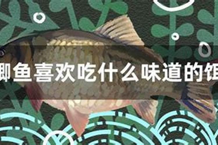 如何辨别鱼胶原蛋白粉