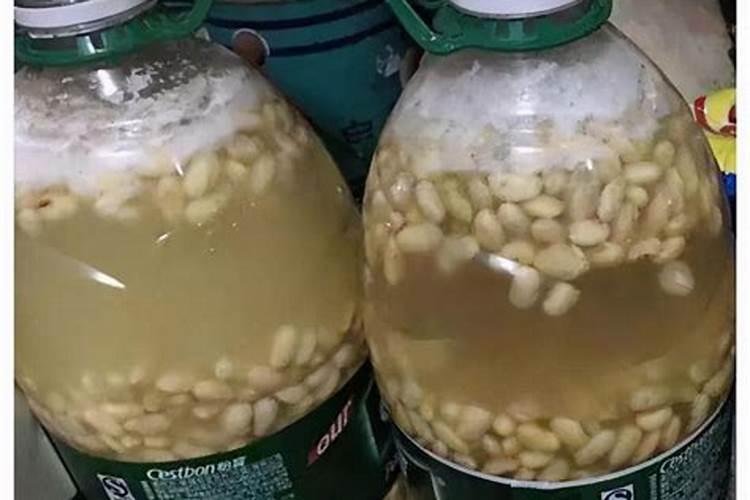 用黄豆浇花有什么好处怎么浇？