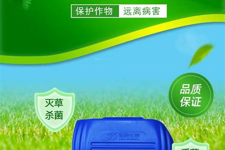 闷棚菌剂和威百亩哪个效果好