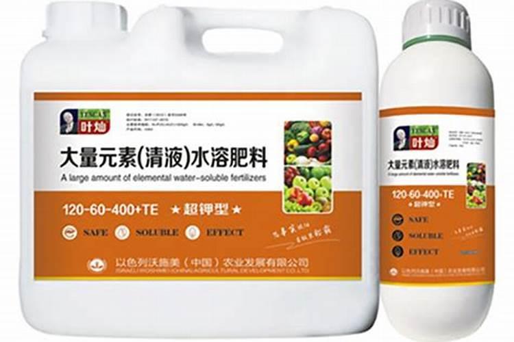 大杉木树应该施什么肥料