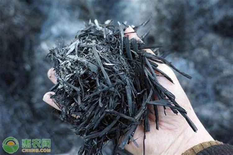 葡萄转色期这些药、肥一定不能用!