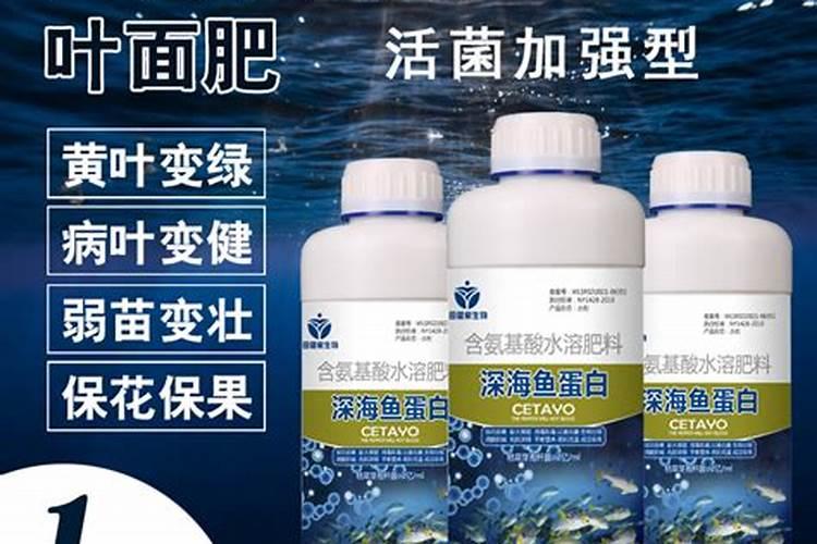 鱼蛋白放多了会烧根吗