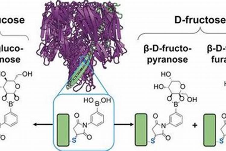 温室茄子喷硼加葡萄糖粉和醋管叶片萎蔫嘛