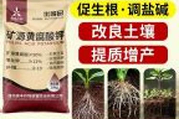 红氯化钾和白氯化钾的区别是什么？