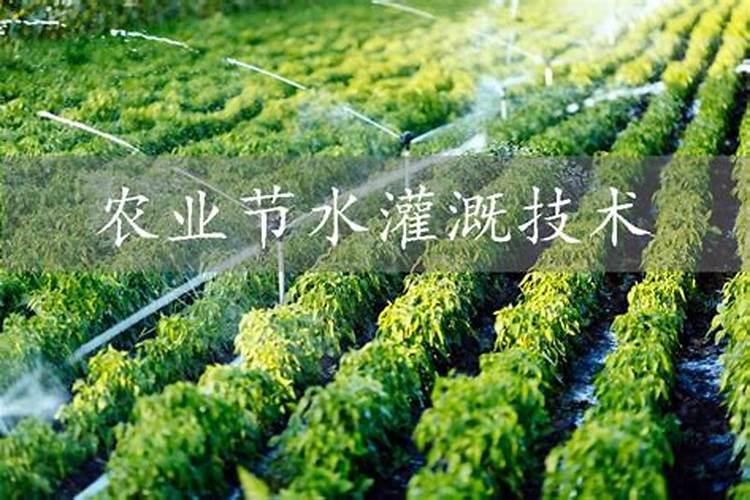 颗粒水溶肥料的施用方法有哪些？