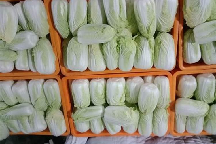 娃娃菜开始卷心时打什么药好？