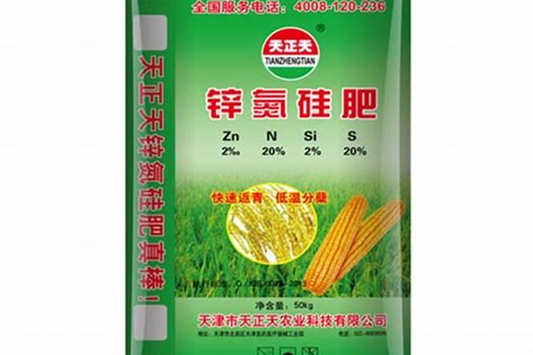 玉米生长发育对环境条件有什么要求