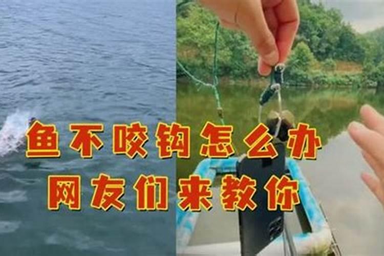 池塘施肥的方法